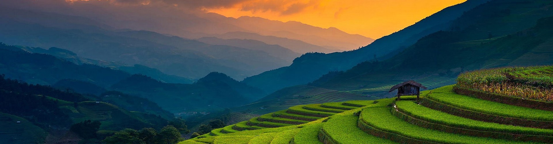 Vietnam Tour banner in Mu cang chai rice terrace