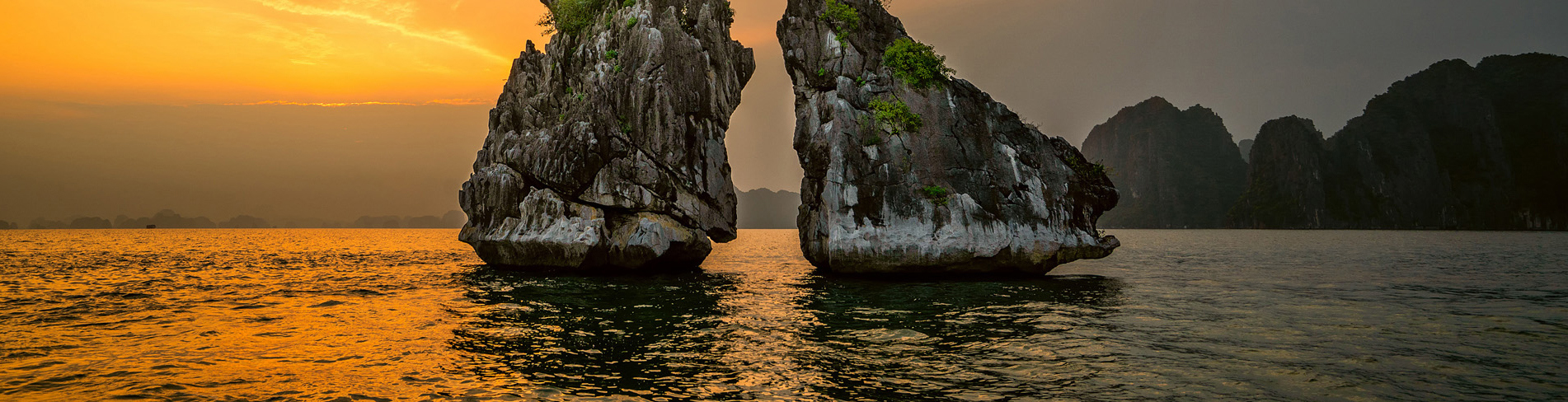 Banner Halong Category